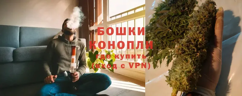 Шишки марихуана THC 21%  сколько стоит  Моздок 